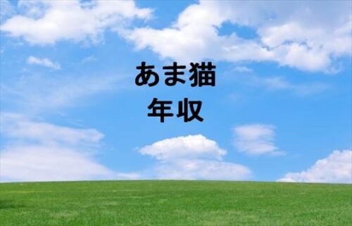 あま猫の年収は2000万円以上？会社を退職した理由は？