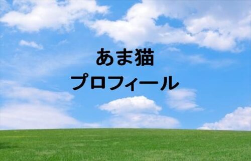 あま猫の本名やプロフィールは？会社は？愛車の所有台数は？