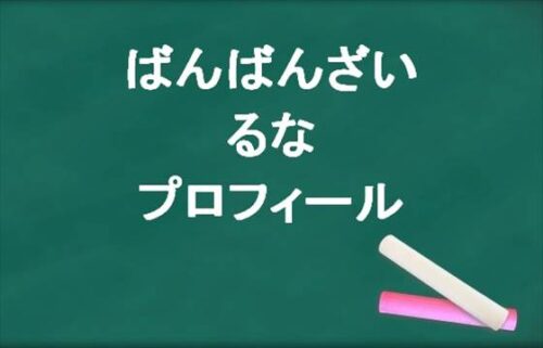 ばんばんざいのるなの本名やプロフィールは？写真集やSNSは？