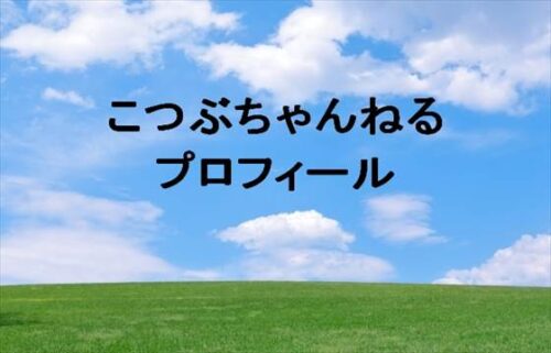 こつぶちゃんねる(YouTube)の本名やプロフィールは？彼氏は？