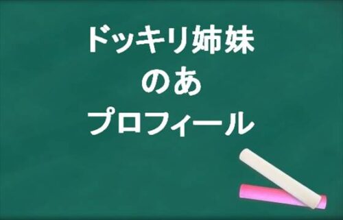 ドッキリ姉妹ののあの本名やプロフィールは？会社や現在の彼氏は？