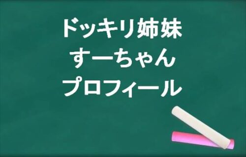 ドッキリ姉妹のすーちゃんのプロフィールは？職業や関係性は？