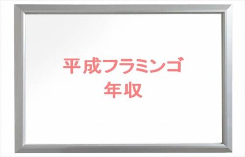 平成フラミンゴの年収は？にこやりほの個人の収入源は？