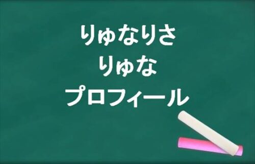 りゅなりさのりゅなの本名やプロフィールは？出会いや結婚経緯は？