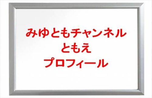 みつともチャンネルのともえの本名やプロフィールは？結婚の経緯は？