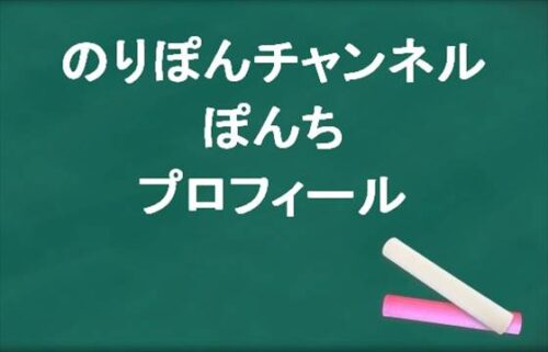 のりぽんチャンネルのぽんちの本名やプロフィールは？病気や整形は？