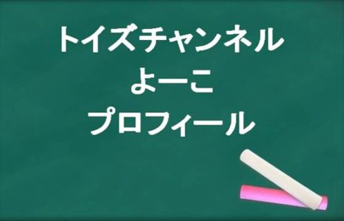 トイズチャンネルのよーこの本名やプロフィールは？職歴や元彼は？