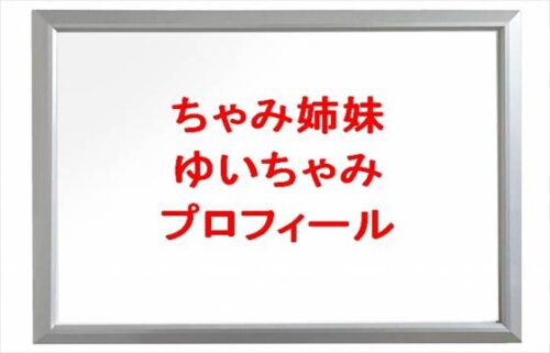 ちゃみ姉妹のゆいちゃみの本名やプロフィールは？彼氏は誰？