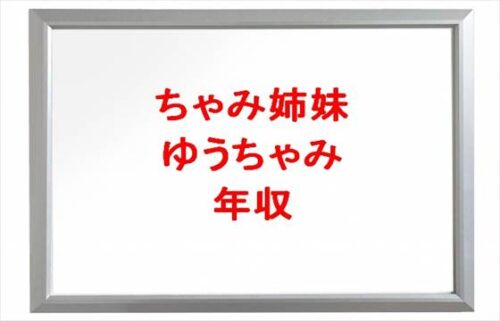 ちゃみ姉妹のゆうちゃみの年収や収入源は？モデルや歌手の経歴は？