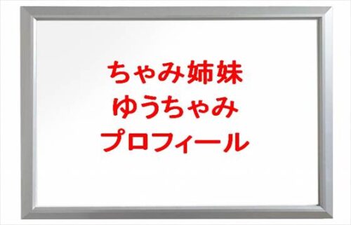 ちゃみ姉妹のゆうちゃみの本名やプロフィールは？現在の彼氏は？