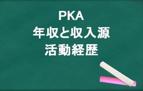 PKAの年収やメンバー個人の収入源は？活動経歴や所属事務所は？