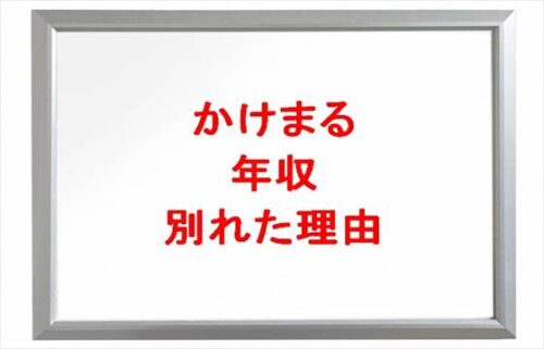 かけまるの年収は？かっくんとなーちゃんの馴れ初めや別れた理由は？