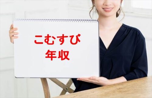 こむすびチャンネルの年収は？車中泊を始めたきっかけや破局の理由は？