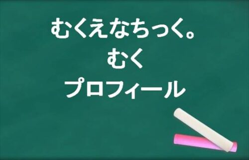 むくえなちっく。のむくの本名やプロフィールは？彼氏やSNSは？