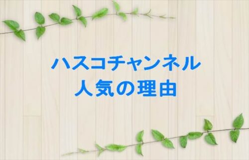 ハスコチャンネルの人気の理由は？車中泊YouTuberになったのは？