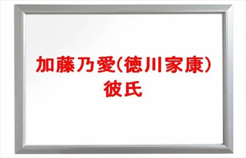 加藤乃愛(徳川家康)の彼氏テオはいつから？結婚願望や炎上原因は？