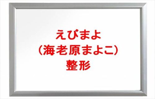 えびまよ(海老原まよこ)の整形は？痩せた原因や人気の理由は？