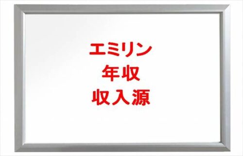 エミリンの年収や収入源は？所属事務所や整形は？