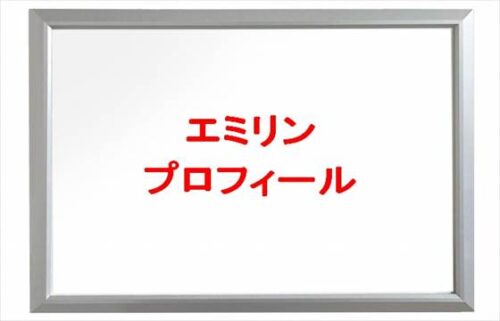 エミリンの本名やプロフィールは？YouTubeを始めた理由やSNSは？
