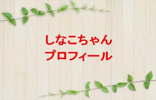 しなこちゃんの本名やプロフィールは？結婚やSNSは？