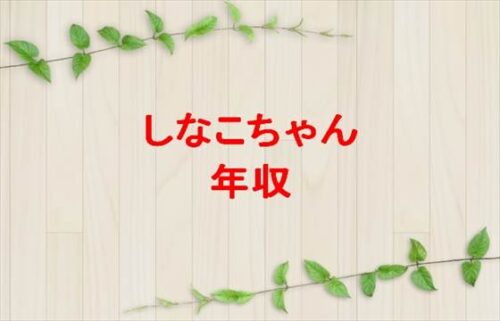 しなこちゃんの年収や収入源は？過去の経歴や所属事務所は？