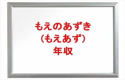 もえのあずき(もえあず)の年収や収入源は？所属事務所や実家は金持ち？