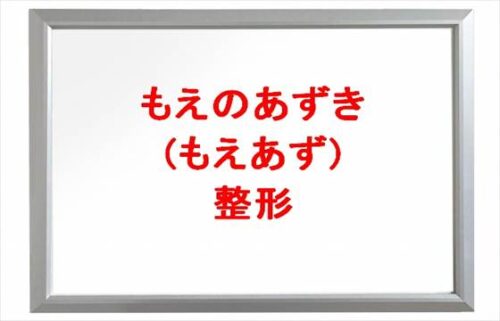 もえのあずき(もえあず)の整形や炎上は？資格マニアや人気の理由は？