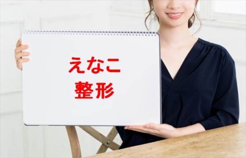 えなこの整形や豊胸の噂は本当？人気の理由は？