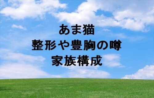 あま猫の整形や豊胸の噂は？家族構成や結婚相手は？
