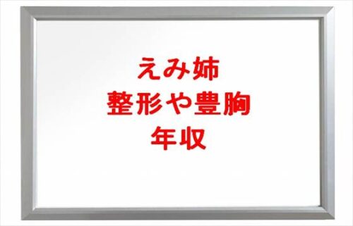えみ姉の整形や豊胸の噂は？年収や家族構成は？