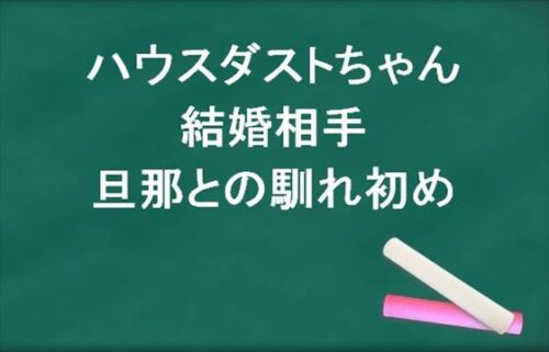 ハウスダストちゃんの結婚相手や旦那との馴れ初めは？今後の活動は？