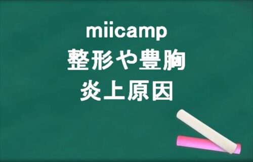 miicampの整形や豊胸の噂は？炎上原因や人気の理由は？
