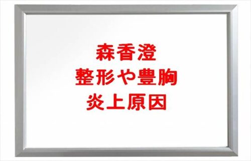 森香澄の整形や豊胸の噂は？炎上原因や人気の理由は？