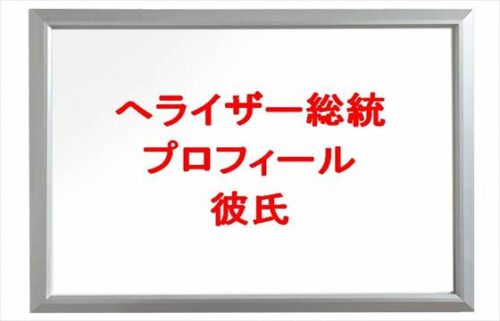 へライザー総統の本名やプロフィールは？彼氏やSNSは？