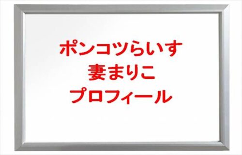ポンコツらいすのまりこ(妻)の本名やプロフィールは?離婚原因やSNSは?