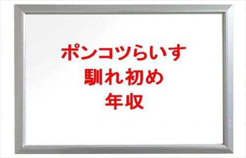ポンコツらいすの馴れ初めや子供は?浮気の噂や年収は?