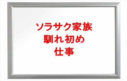 ソラサク家族の馴れ初めや子供は？仕事や年収は？