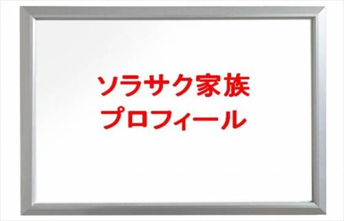 ソラサク家族のみか(嫁)や旦那のプロフィールは？SNSは？
