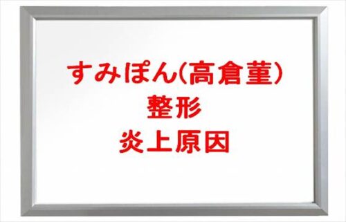 すみぽん(高倉菫)の整形や豊胸の噂は？炎上原因や人気の理由は？