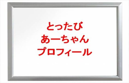 とったびのあーちゃん(嫁)の本名やプロフィールは?職業やSNSは?