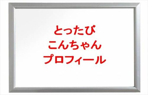 とったびのこんちゃん(旦那)の本名やプロフィールは？職業やSNSは？
