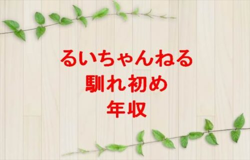るいちゃんねるの馴れ初めや子供は？年収やYouTubeを始めた理由は？