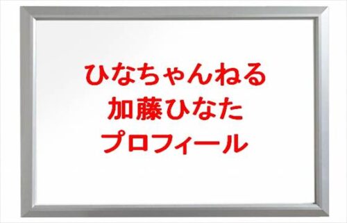 ひなちゃんねるの本名や年齢やプロフィールは?結婚や彼氏やSNSは?