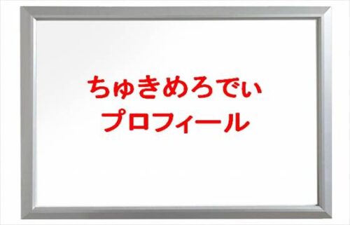 ちゅきめろでぃは何者？年齢や本名やプロフィールは？結婚や彼氏やSNSは？