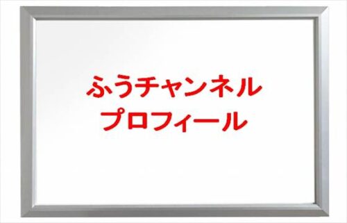 ふうチャンネルは何者?年齢や本名やプロフィールは?彼氏や仕事やSNSは?