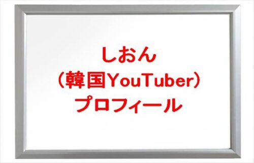 しおん(韓国YouTuber)は何者？年齢や本名やプロフィールは？彼氏やガンプラやSNSは？