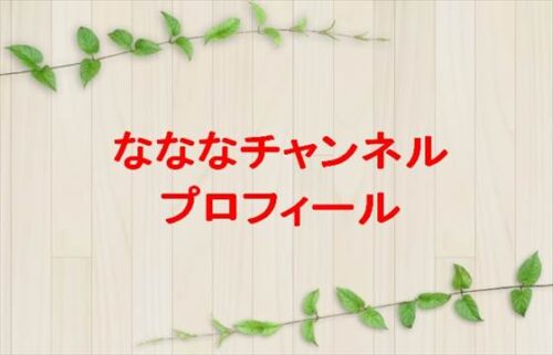 なななチャンネルは何者？年齢や本名やプロフィールは？結婚や彼氏やSNSは？