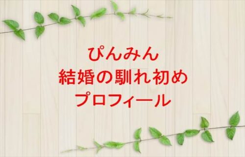 ぴんみん(カップルYouTuber)の結婚の馴れ初めや子供は?年齢やプロフィールやSNSは?