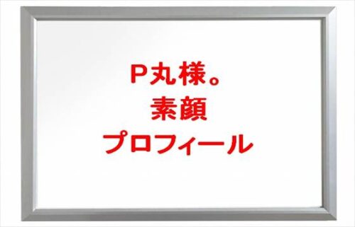 P丸様の素顔は？年齢や本名やプロフィールは？彼氏や活動経歴やSNSは？