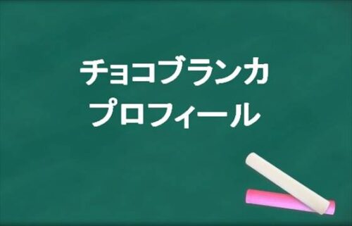 チョコブランカ(ゲーマー)は何者?年齢や本名やプロフィールは?結婚やSNSは?
